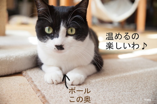 ボールをあたためてます