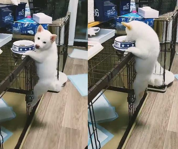 今智則 今智則