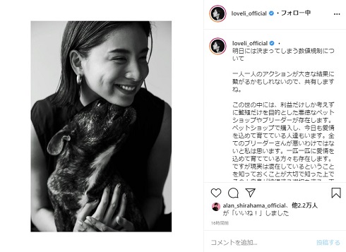 ラブリ ペットショップ 動物愛護法 数値規制