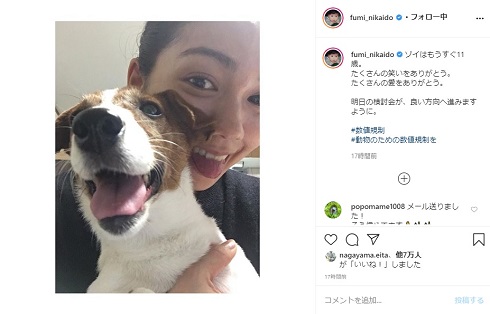 ラブリ ペットショップ 動物愛護法 数値規制