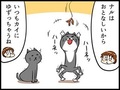 「兄猫が寝ている隙に……騒ぐニャ！」　普段おとなしい妹猫のギャップを描いた漫画が面白い