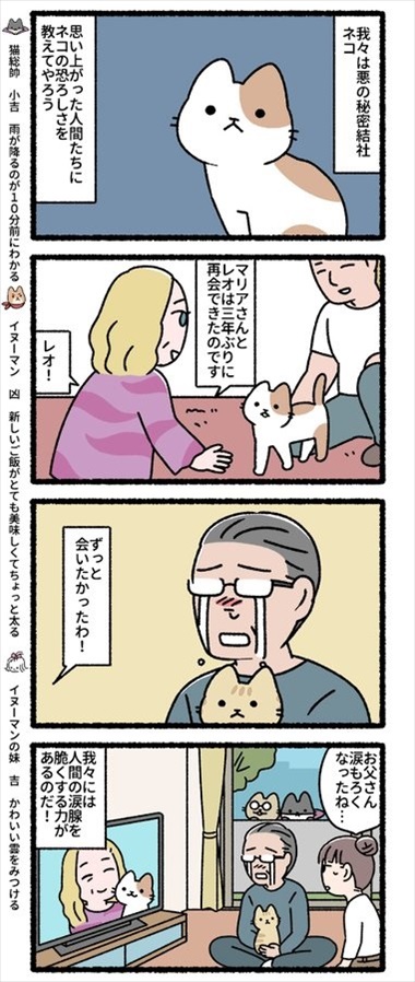 猫のライブ