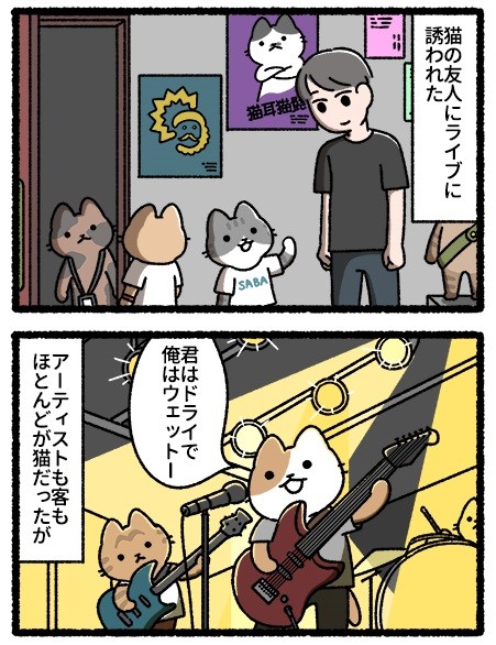 猫のライブ