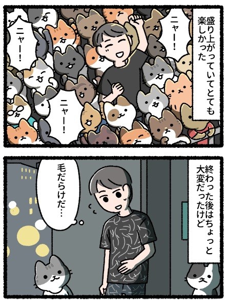 猫のライブ
