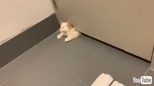 Slides In From Small Gap