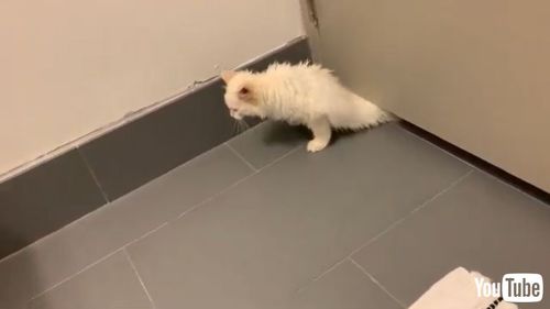 Slides In From Small Gap