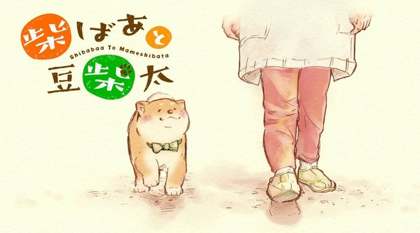 ヤマモトヨウコ 豆柴太