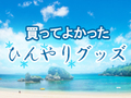 ひんやりグッズで夏を乗り越えよう！　ねとらぼ読者が選ぶ「買ってよかったひんやりグッズ」を紹介します