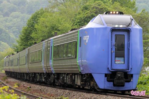 北海道 フリーパス GoTo 特急