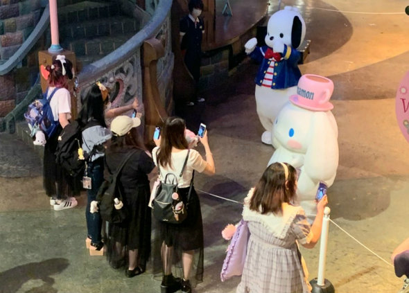 ピューロ再開