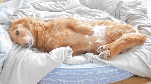 笑顔のじろさん