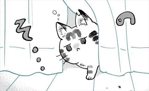 3本足のしじみちゃん近況