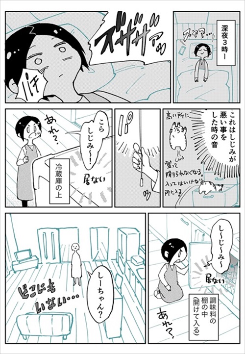 3本足のしじみちゃん近況