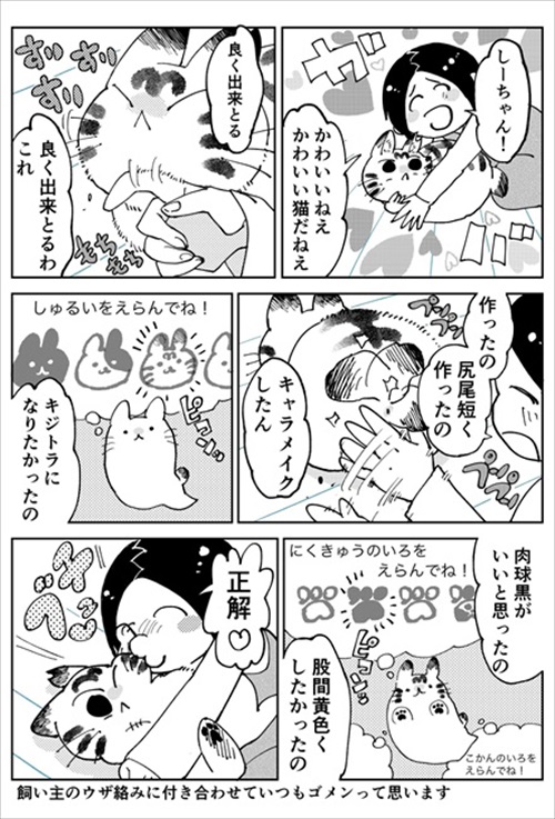 3本足のしじみちゃん近況