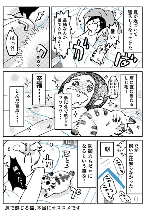 3本足のしじみちゃん近況