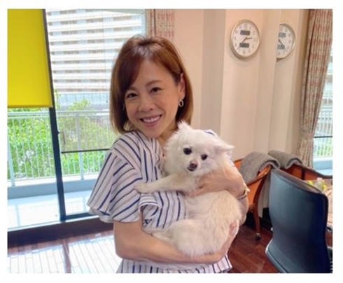 高橋真麻 出産 復帰 産休 夫