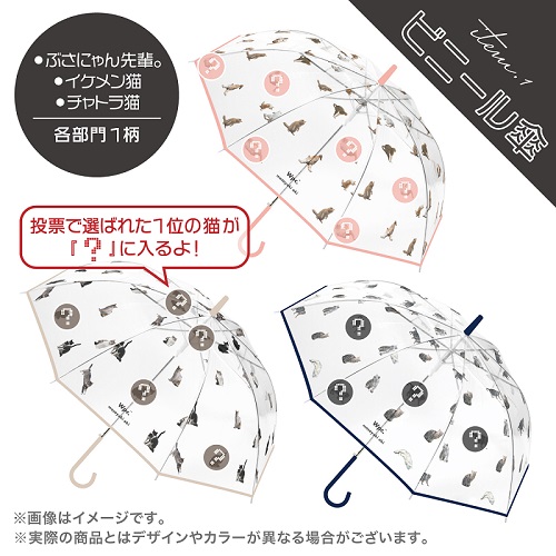 必死すぎるネコ