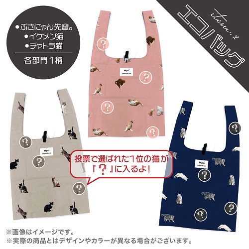 必死すぎるネコ