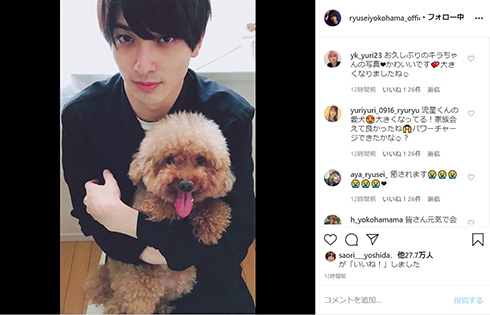 公式の店舗 横浜流星、愛する“弟”と久しぶりの再会で「癒された」 幸せ タレント・お笑い芸人
