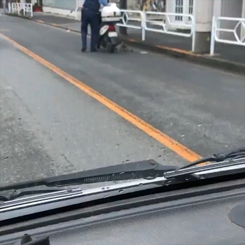 カルガモ一家を誘導するお巡りさん