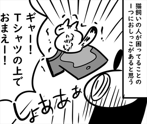 猫のおしっこ臭対策