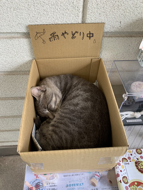 雨宿り中の箱