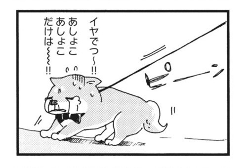 漫画 柴ばあと豆柴太 ヤマモトヨウコ 震災 3.11