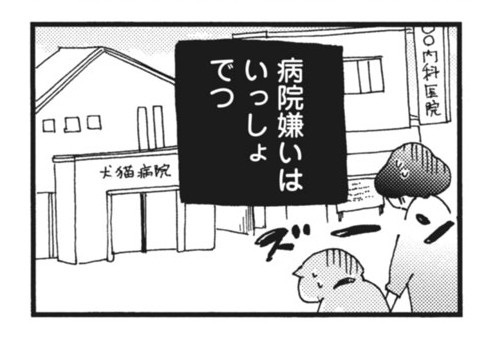 柴ばあと豆柴太