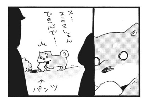 柴ばあと豆柴太