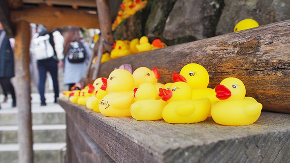 垣花正　あなたとハッピー！