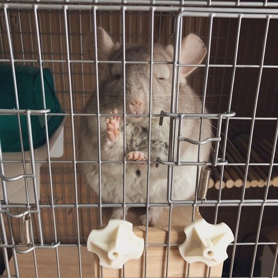 おやすみ坊ちゃん