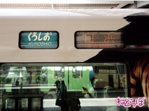 パンダ パンダくろしお アドベンチャーワールド