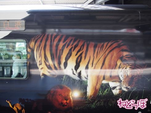 パンダ パンダくろしお アドベンチャーワールド