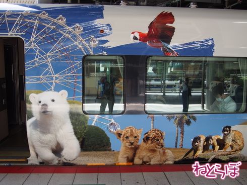 パンダ パンダくろしお アドベンチャーワールド