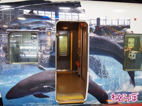 パンダ パンダくろしお アドベンチャーワールド