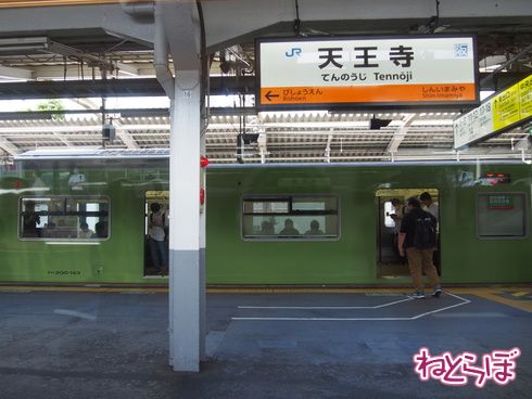 パンダ パンダくろしお アドベンチャーワールド