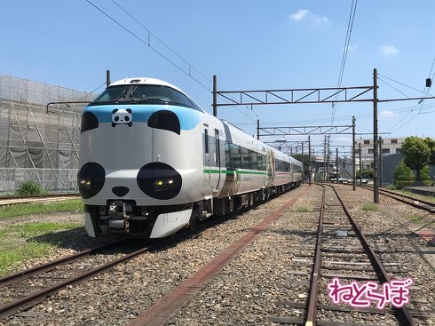 パンダ パンダくろしお アドベンチャーワールド