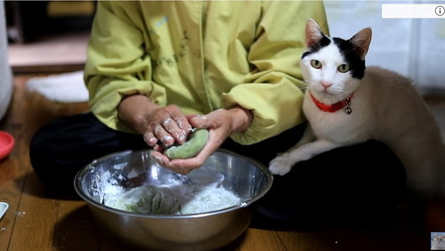 猫と草餅作り