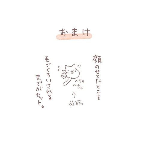 ロミちゃんは癒やし