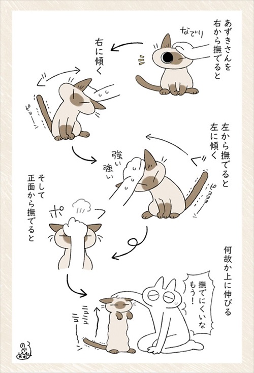 初期教育失敗例