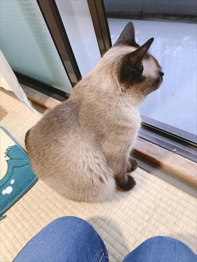 初期教育失敗例