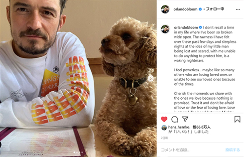 オーランド・ブルーム 犬 ペット ケイティ・ペリー 死亡 捜索 懸賞金 行方不明