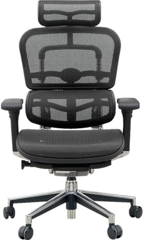 エルゴヒューマン椅子