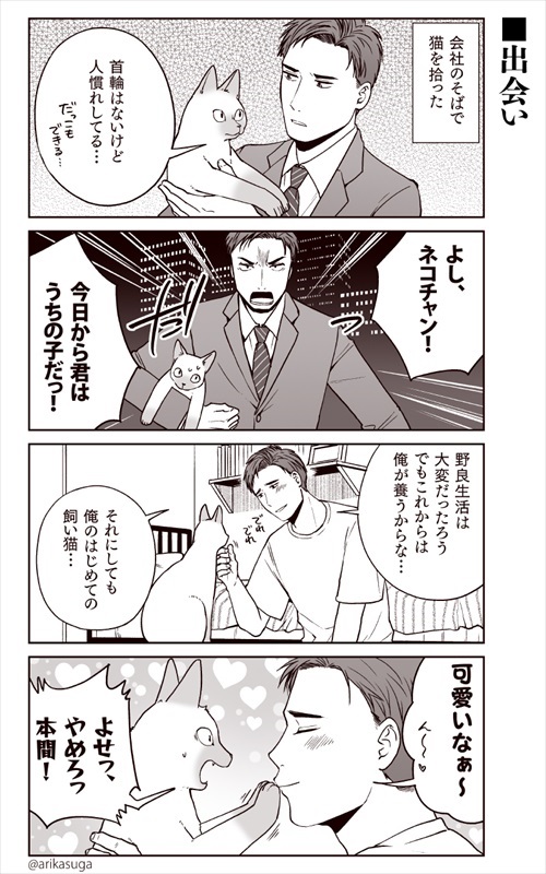 部長、猫になる