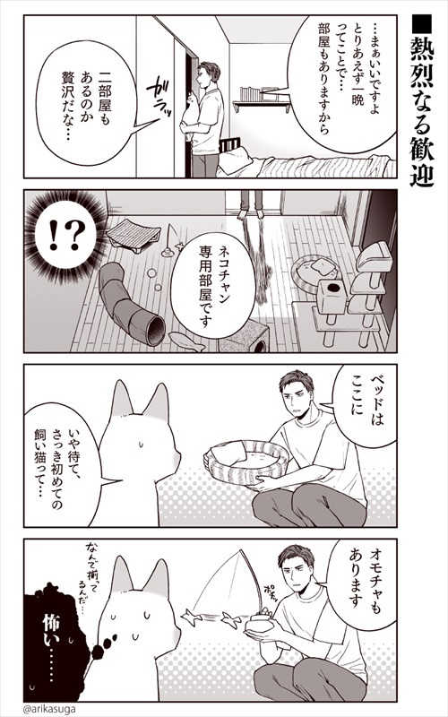 部長、猫になる