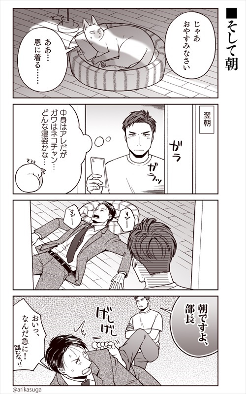 部長、猫になる