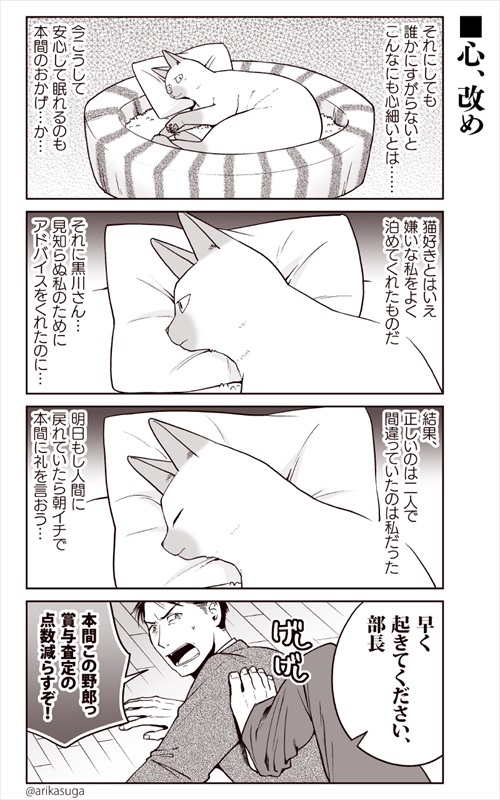 部長、猫になる