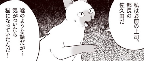 部長、猫になる