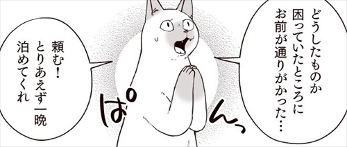 部長、猫になる