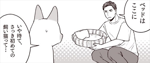 部長、猫になる